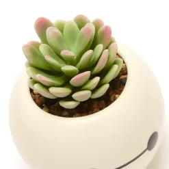 Disney Store Plante Artificielle En Pot Baymax, Les Nouveaux Héros 9 Disney Store Plante Artificielle En Pot Baymax, Les Nouveaux Héros -Disney 465043353962 4