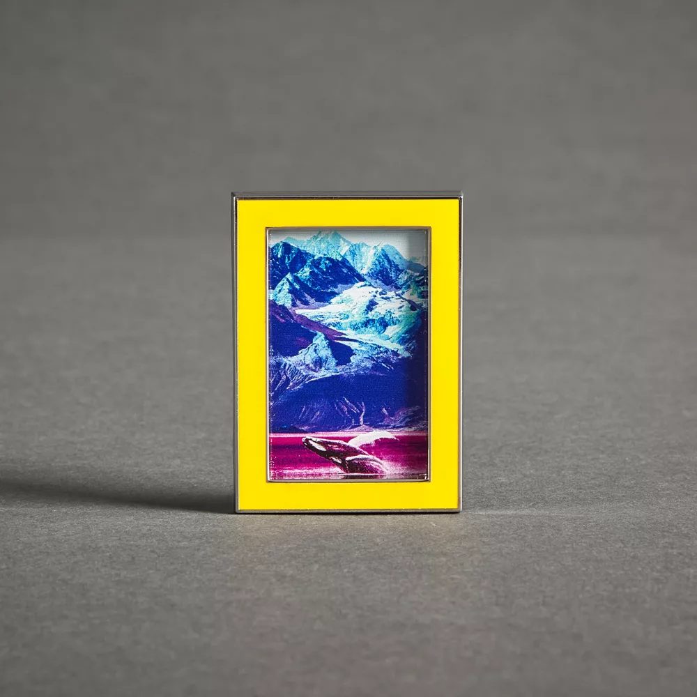 Disney Store Pin's National Geographic Océan 2 Disney Store Pin's National Geographic Océan – Image 2